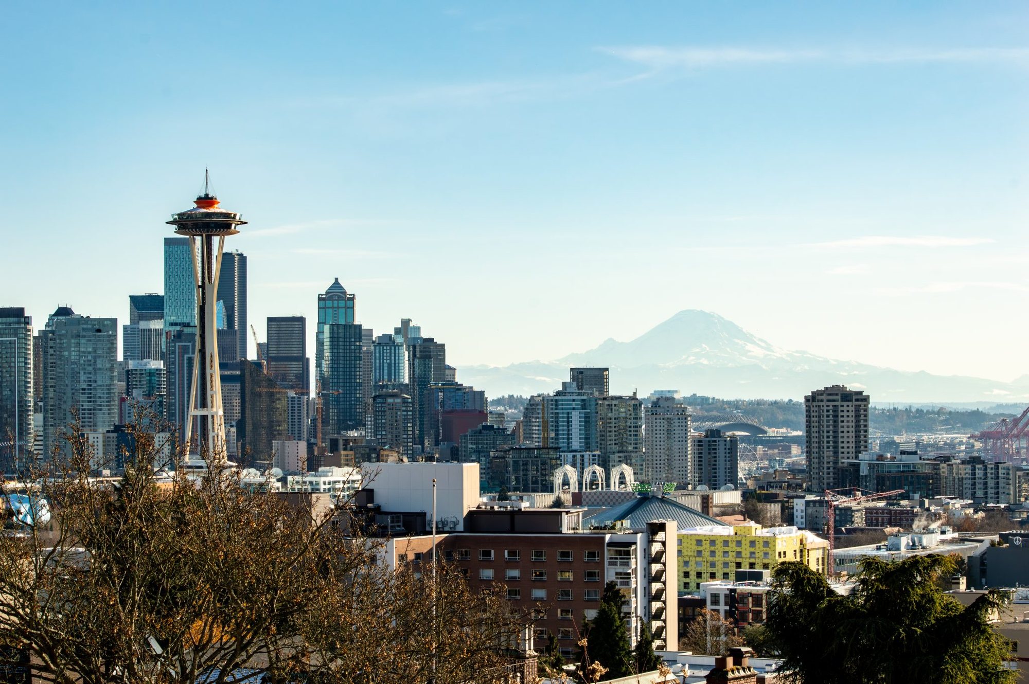 Top Seattle marketing agency in WA near 98115